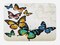 Ambesonne Butterfly Bath Mat, Vivid Monarch Butterflies Flying Shades Shadows Dreamlike Fantasy Display, Plush Bathroom Decor Mat with Non Slip Backing, 29.5" X 17.5", Green Yellow